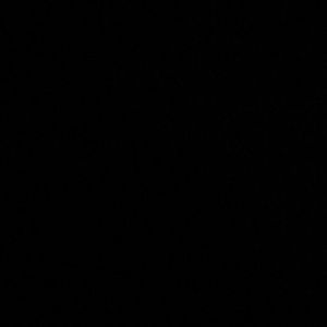 Meet your Posher, Selena